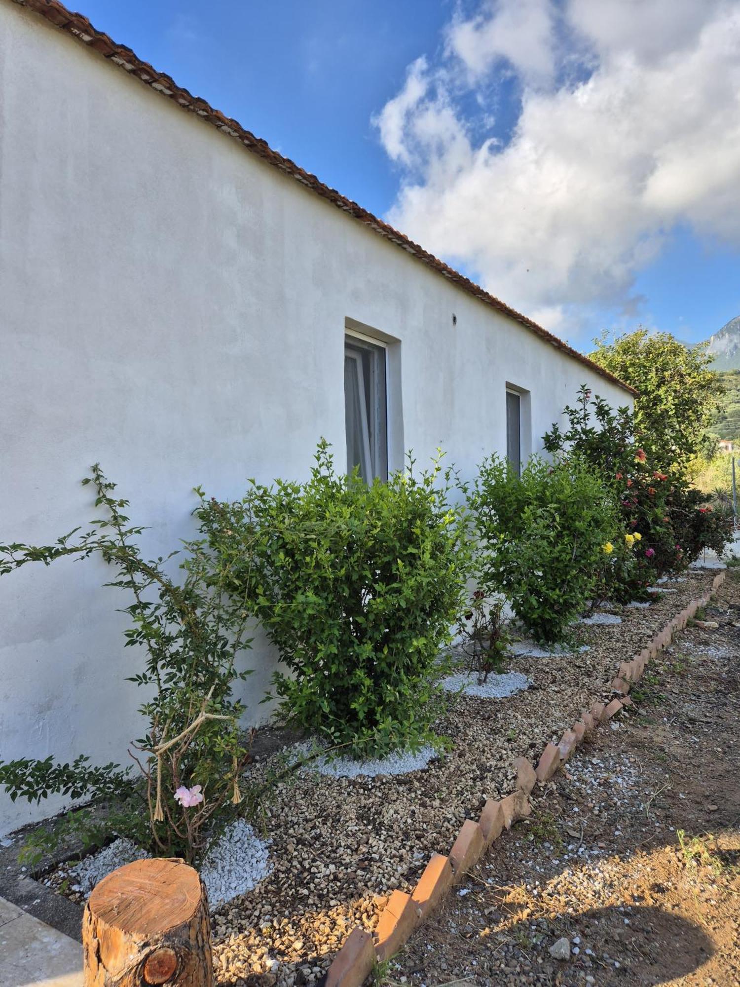 Villa Elvira Country House Belvedere Marittimo Exteriér fotografie