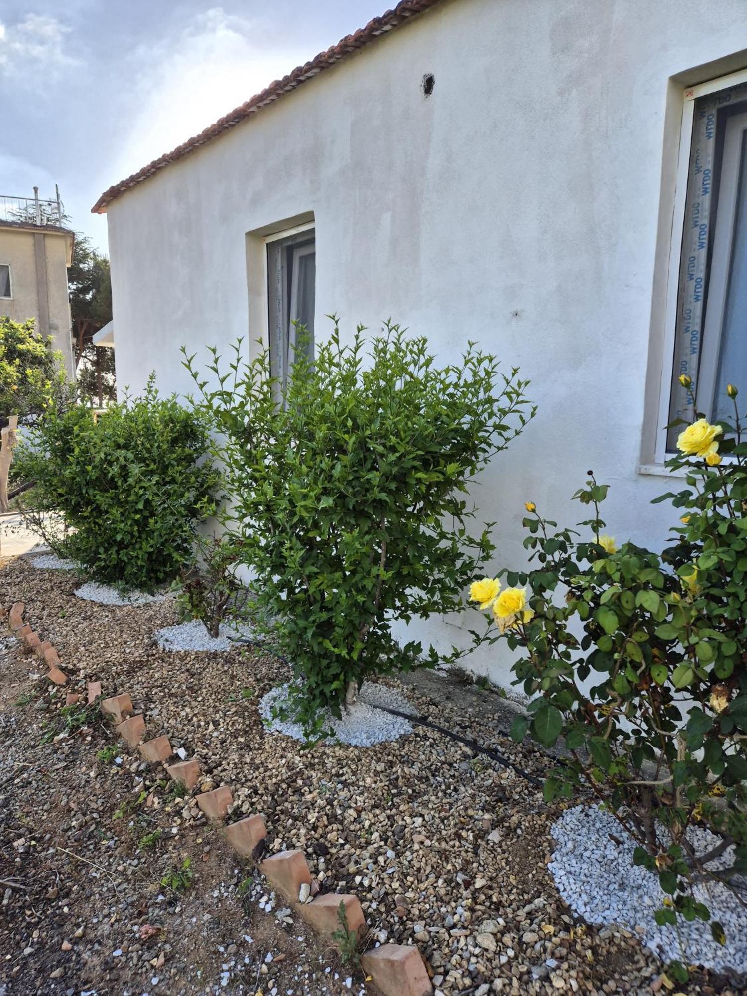 Villa Elvira Country House Belvedere Marittimo Exteriér fotografie